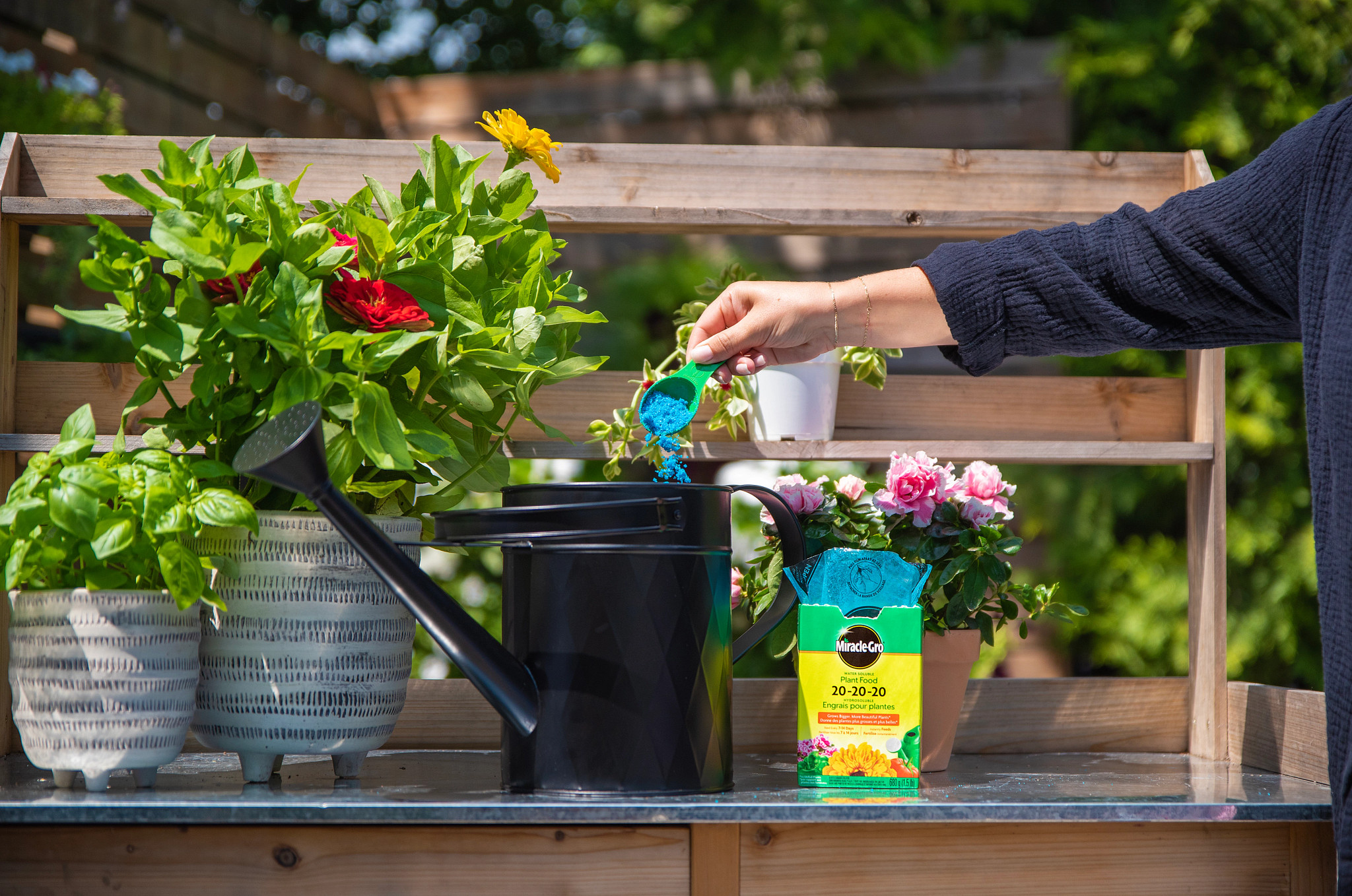 Water Soluble Plant Food 20-20-20 | ScottsMiracle-Gro CA